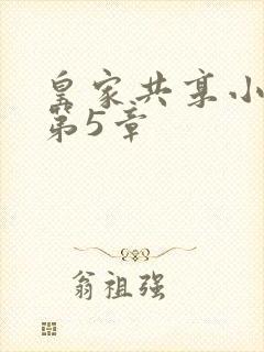 皇家共享小公主第5章