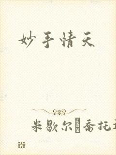 妙手情天封面