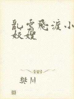 乱云飞渡小说之姣嫂封面