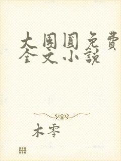 大团圆免费阅读全文小说封面