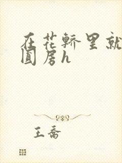 在花轿里就开始圆房h封面