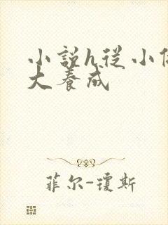 小说h从小做到大养成封面