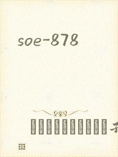 soe-878