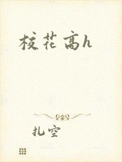 校花高h封面