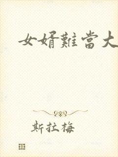女婿难当大结局