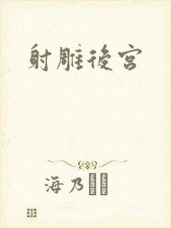 射雕后宫