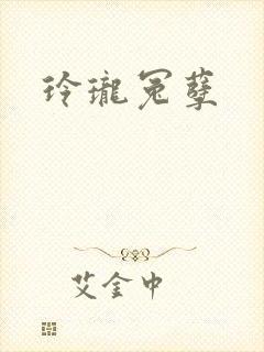 玲珑冤孽