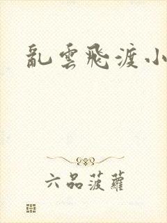 乱云飞渡小说