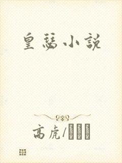 皇瑟小说封面