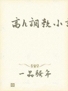 高h调教小说