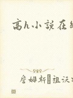 高h小说在线看