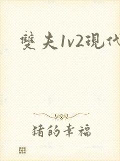 双夫1v2现代