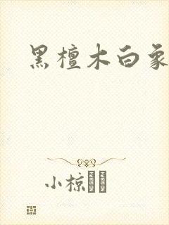 黑檀木白象牙封面