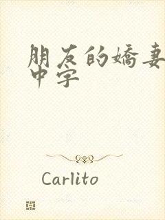 朋友的娇妻hd中字封面