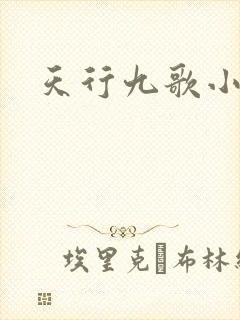 天行九歌小说