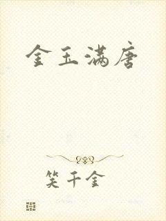 金玉满唐封面