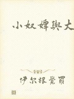 小奴婢与大少爷