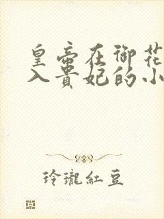 皇帝在御花园进入贵妃的小说