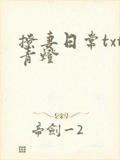 撩妻日常txt青灯封面