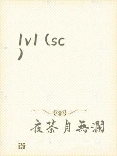 1v1 (sc)