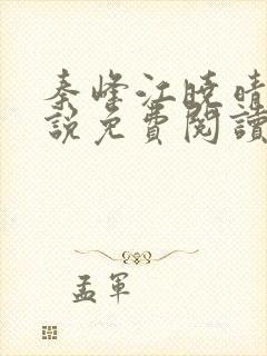 秦峰江晓晴的小说免费阅读封面