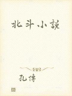 北斗小说