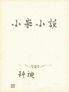 小米小说