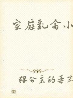 家庭乱仑小说