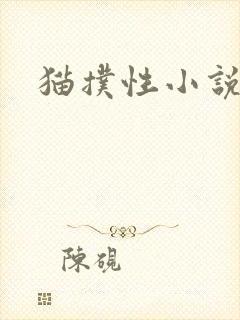 猫扑性小说封面