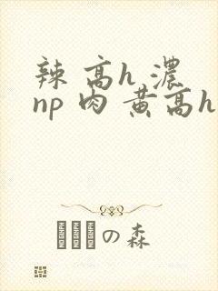 辣 高h 浓 np 肉 黄高h