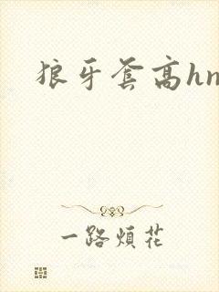 狼牙套高hnp