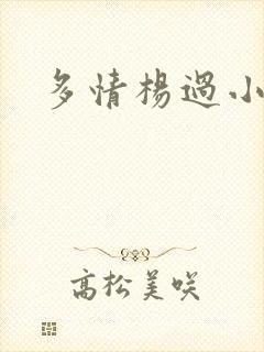多情杨过小说封面