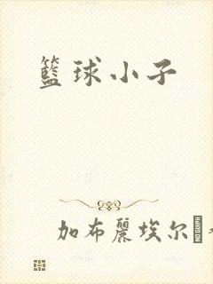 篮球小子