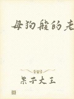 母狗般的老师封面