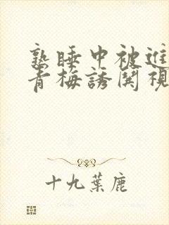 熟睡中被进了H青梅诱哄视频