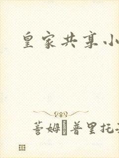 皇家共享小公主