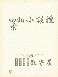 sodu小说搜索