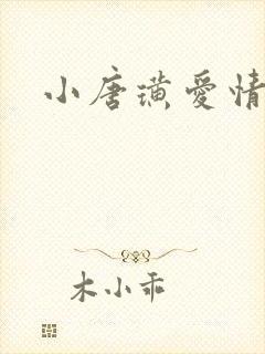 小唐璜爱情历史