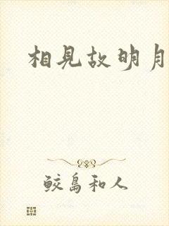 相见故明月