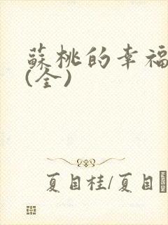 书籍封面