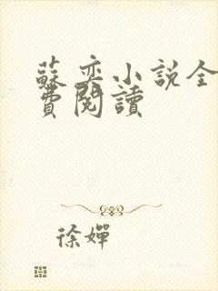 苏奕小说全文免费阅读封面