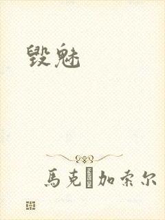 毁魅封面