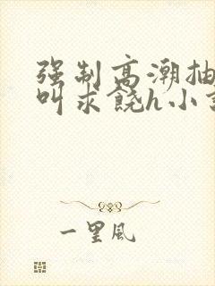 强制高潮抽搐哭叫求饶h小说