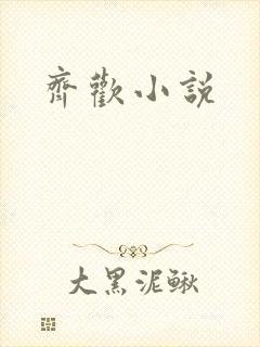 齐欢小说