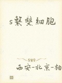 s系双细胞