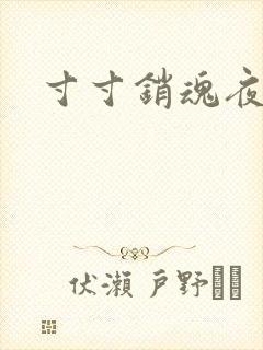 寸寸销魂夜春光