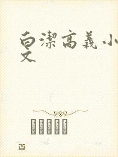 白洁高义小说全文