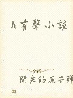 h有声小说