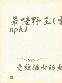 最佳野王(电竞nph)