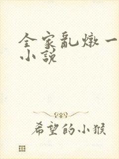 全家乱炖一锅烩小说